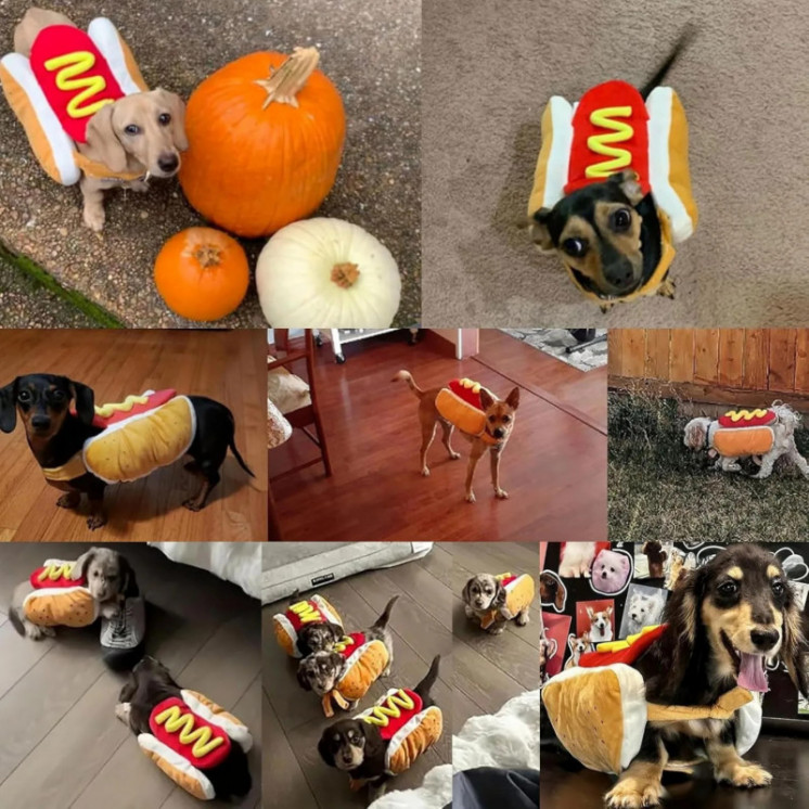 Divertidos disfraces de Halloween para perros, ropa ajustable con form