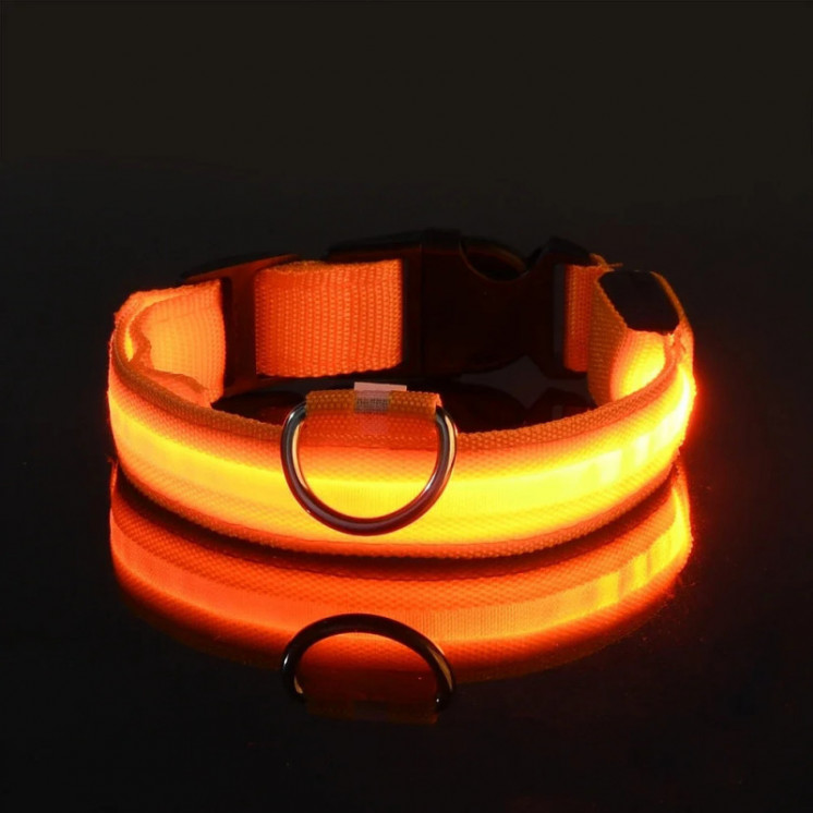 Collar de nailon con luz LED para perro, correa de seguridad nocturna