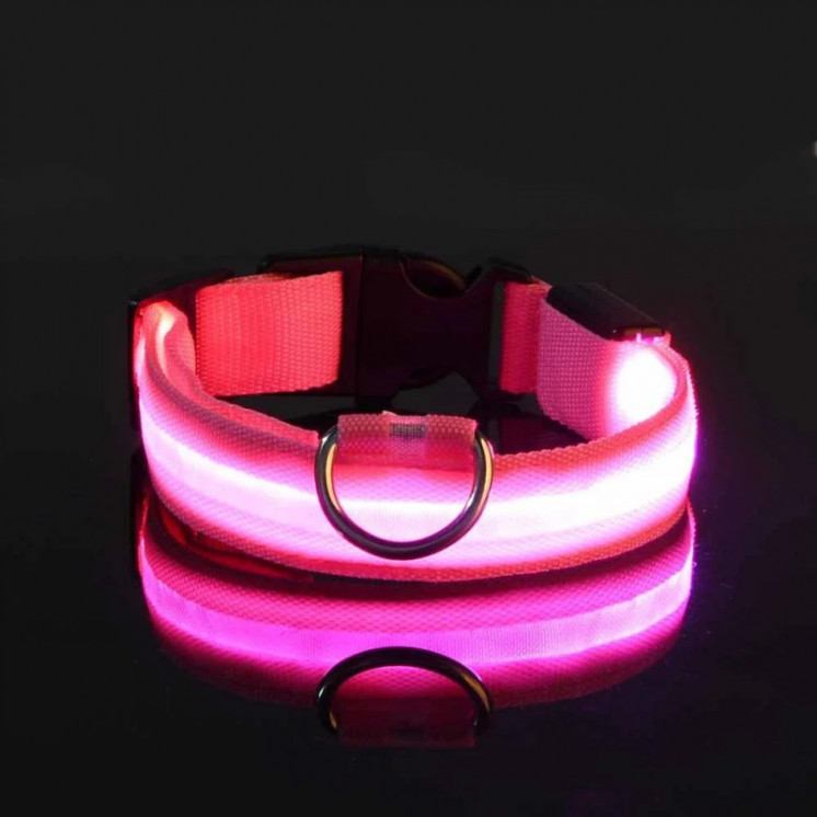 Collar de nailon con luz LED para perro, correa de seguridad nocturna