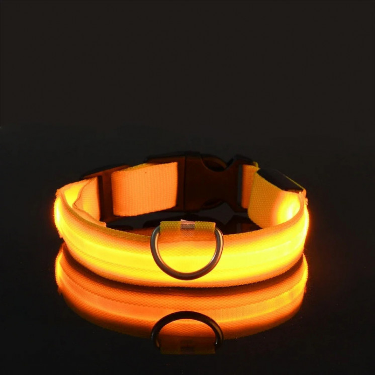 Collar de nailon con luz LED para perro, correa de seguridad nocturna