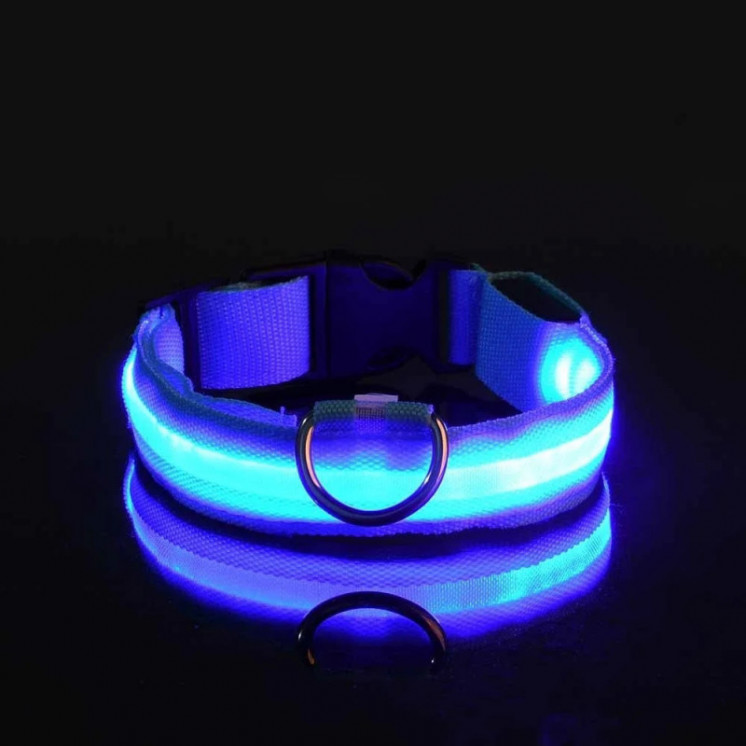 Collar de nailon con luz LED para perro, correa de seguridad nocturna