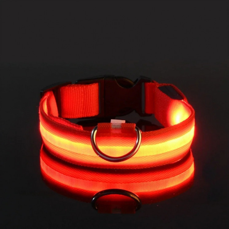 Collar de nailon con luz LED para perro, correa de seguridad nocturna