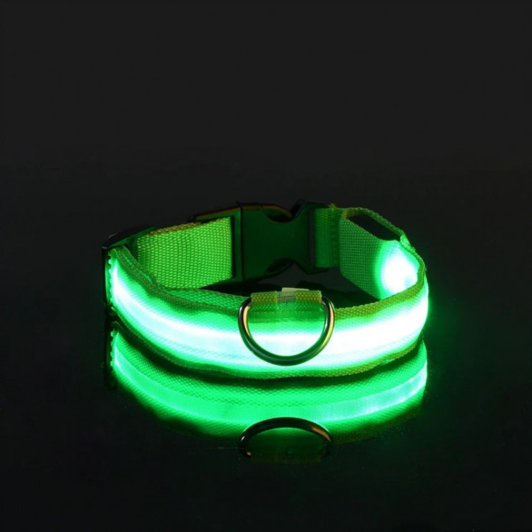 Collar de nailon con luz LED para perro, correa de seguridad nocturna