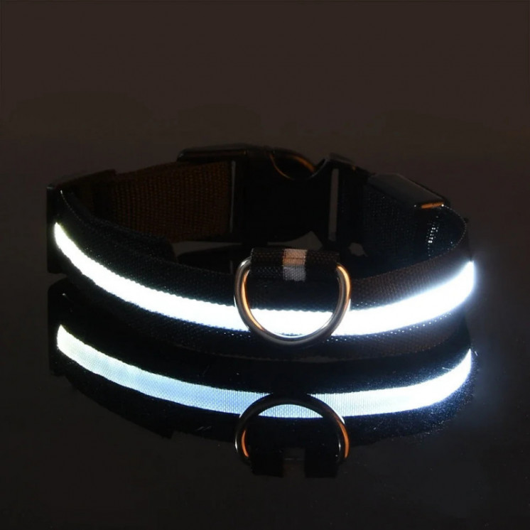 Collar de nailon con luz LED para perro, correa de seguridad nocturna