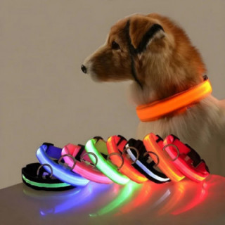 Collar de nailon con luz LED para perro, correa de seguridad nocturna