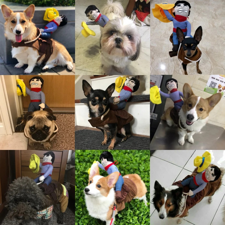 Divertido disfraz de Halloween para perro, ropa creativa de vaquero pa