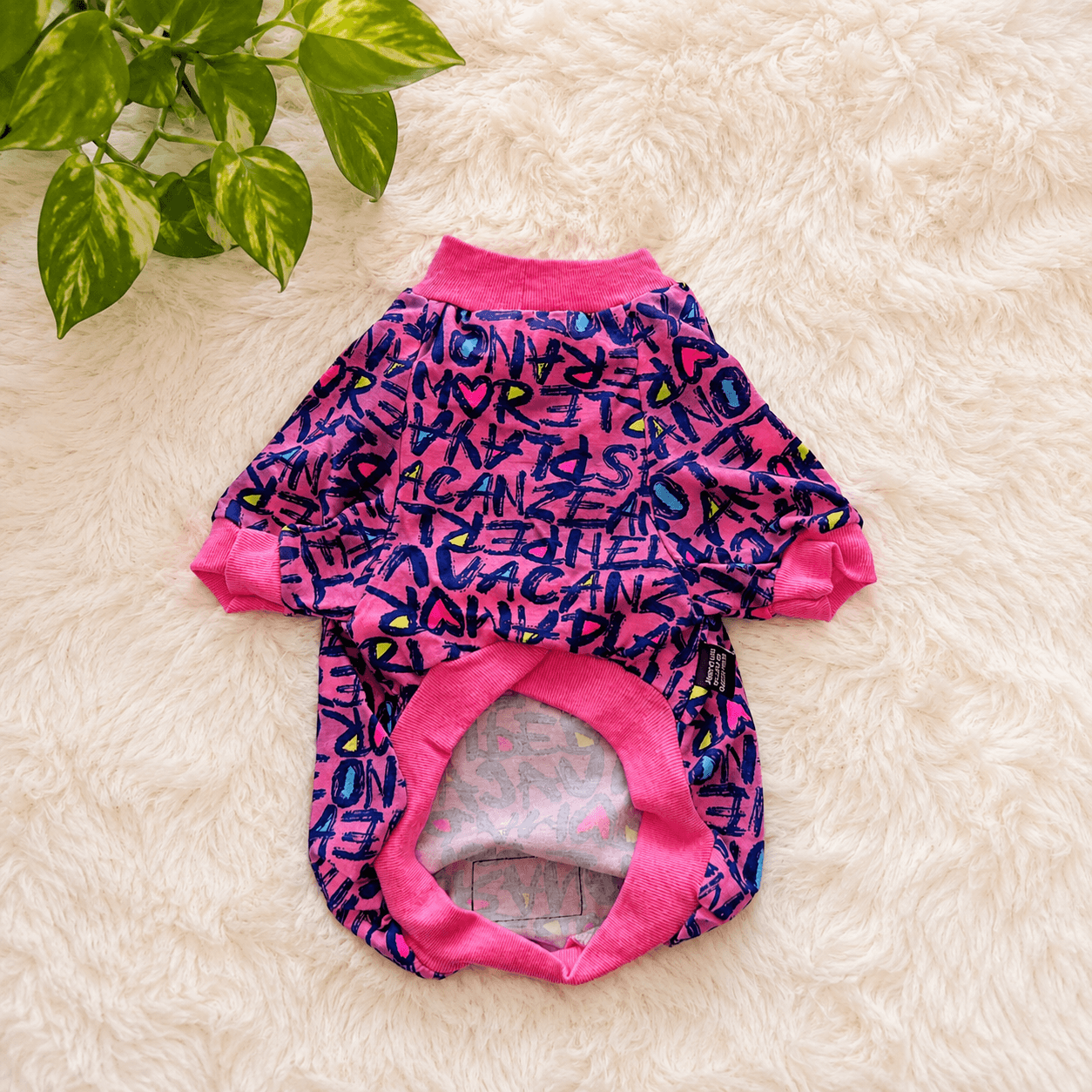 Ropa para perro salchicha en cordoba