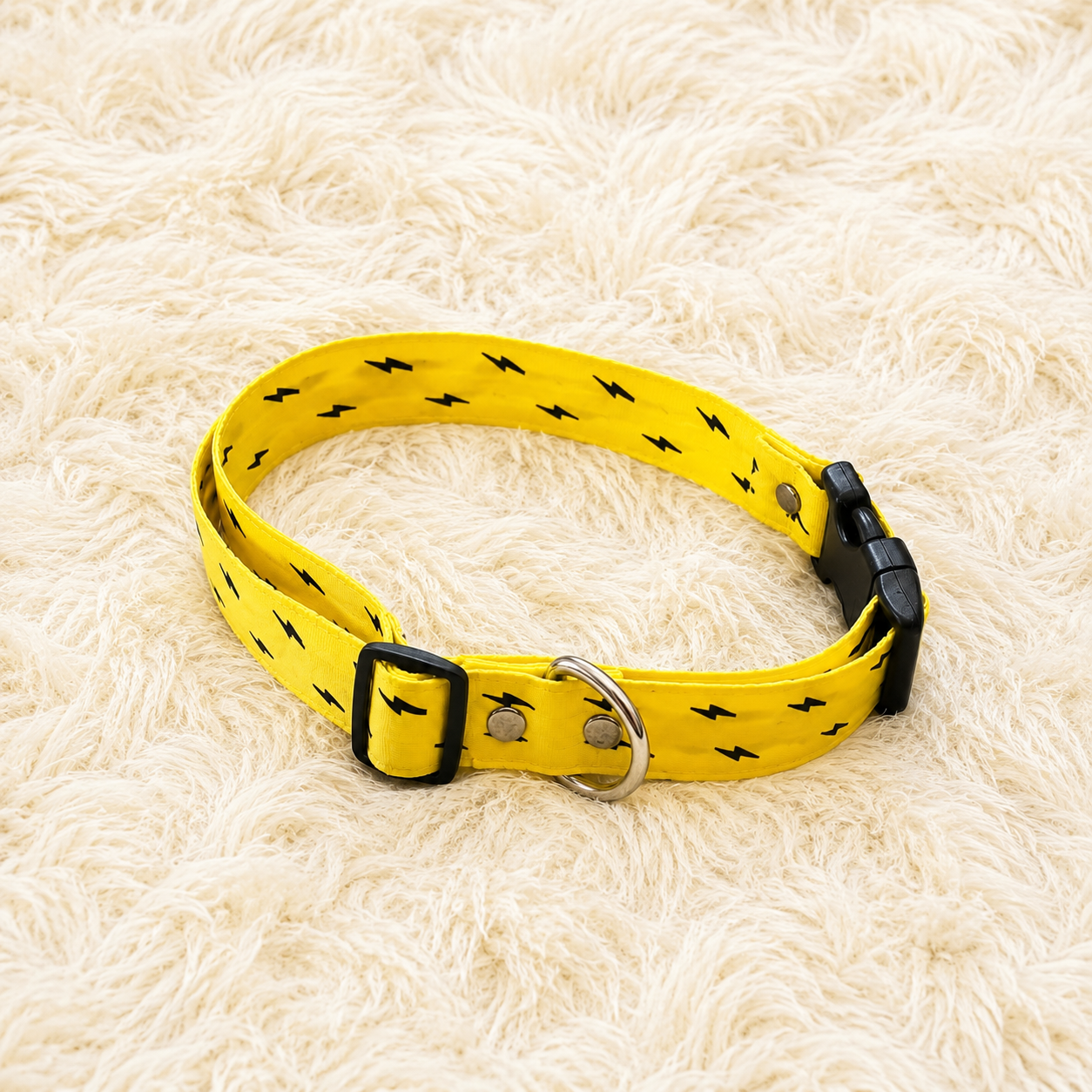collar perro salchicha