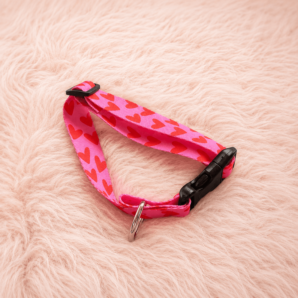 Collar para perro salchicha