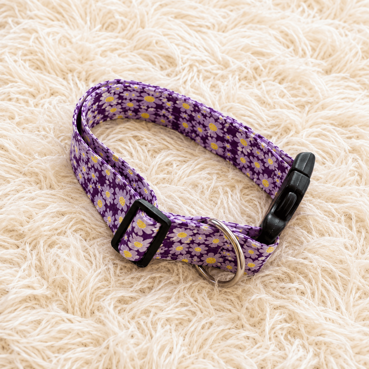collar violeta para perro flores blancas