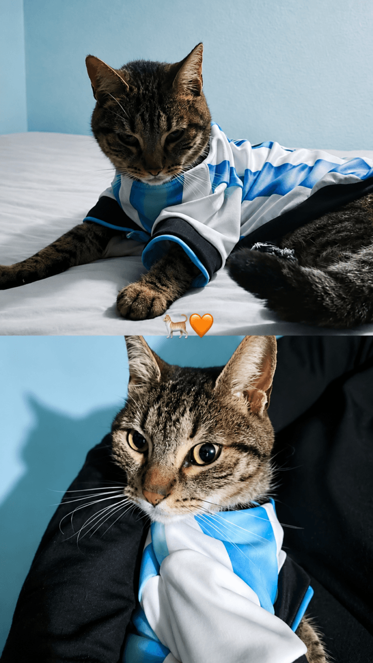ropa para gatos y perritos